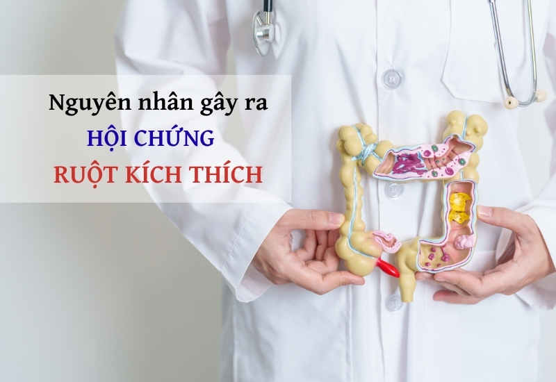 nguyên nhân hội chứng ruột kích thích 