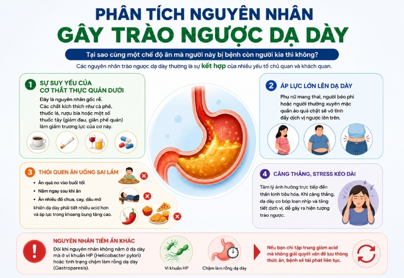 Nguyên nhân gây trào ngược dạ dày