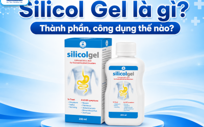 Silicol Gel là gì? Thành phần, công dụng thế nào? Giá bao nhiêu?