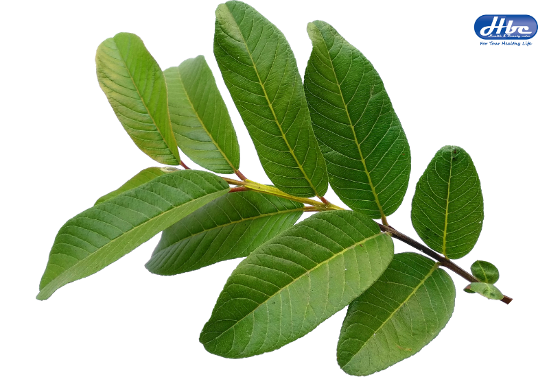 Ăn gì để hết chướng bụng đầy hơi