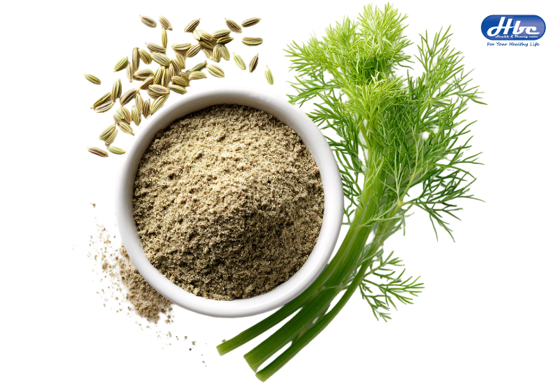 cây thuốc nam chữa chướng bụng đầy hơi