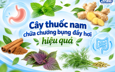 7 cây thuốc nam chữa chướng bụng đầy hơi tự nhiên, hiệu quả