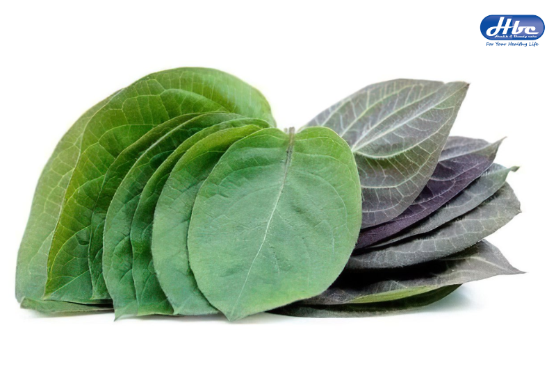 lá mơ lông chữa trào ngược dạ dày