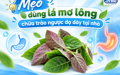 5 cách dùng lá mơ lông chữa trào ngược dạ dày tại nhà