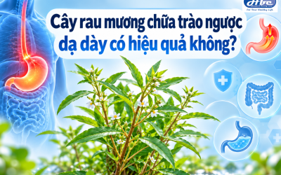 Cây rau mương chữa trào ngược dạ dày có hiệu quả không?