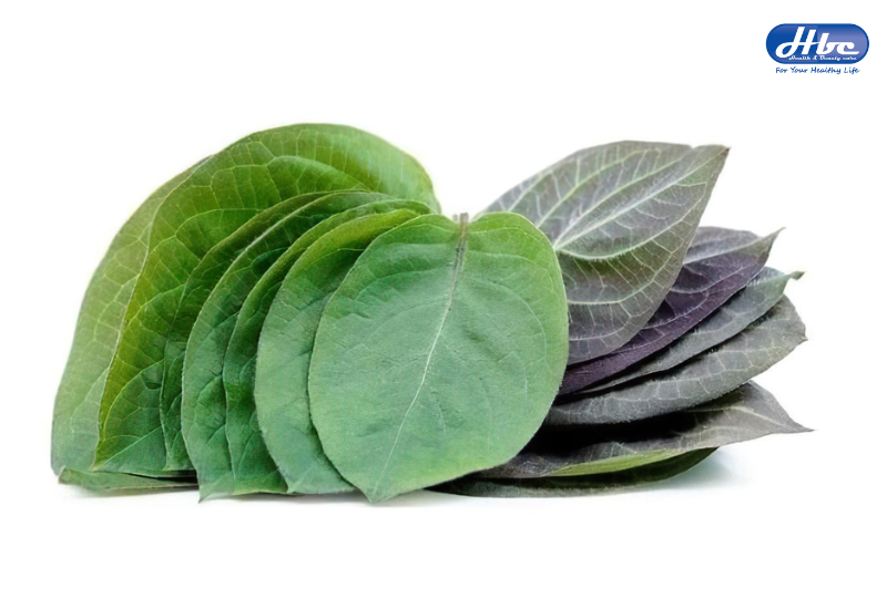 cây thuốc nam chữa trào ngược dạ dày