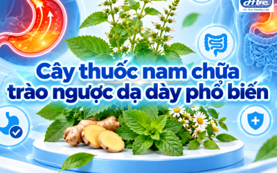 10 cây thuốc nam chữa trào ngược dạ dày phổ biến