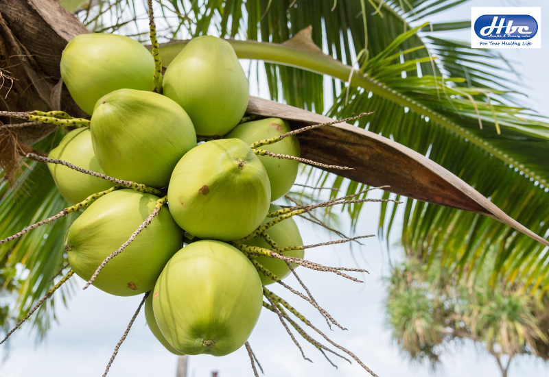 Người bị trào ngược dạ dày uống nước dừa được không?